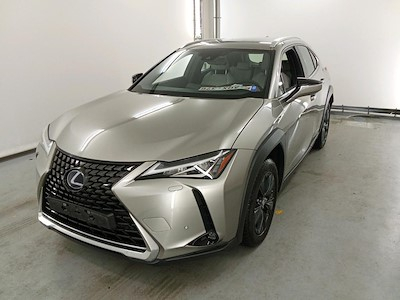 Lexus UX 2.0 250H BUSINESS LINE PLUS