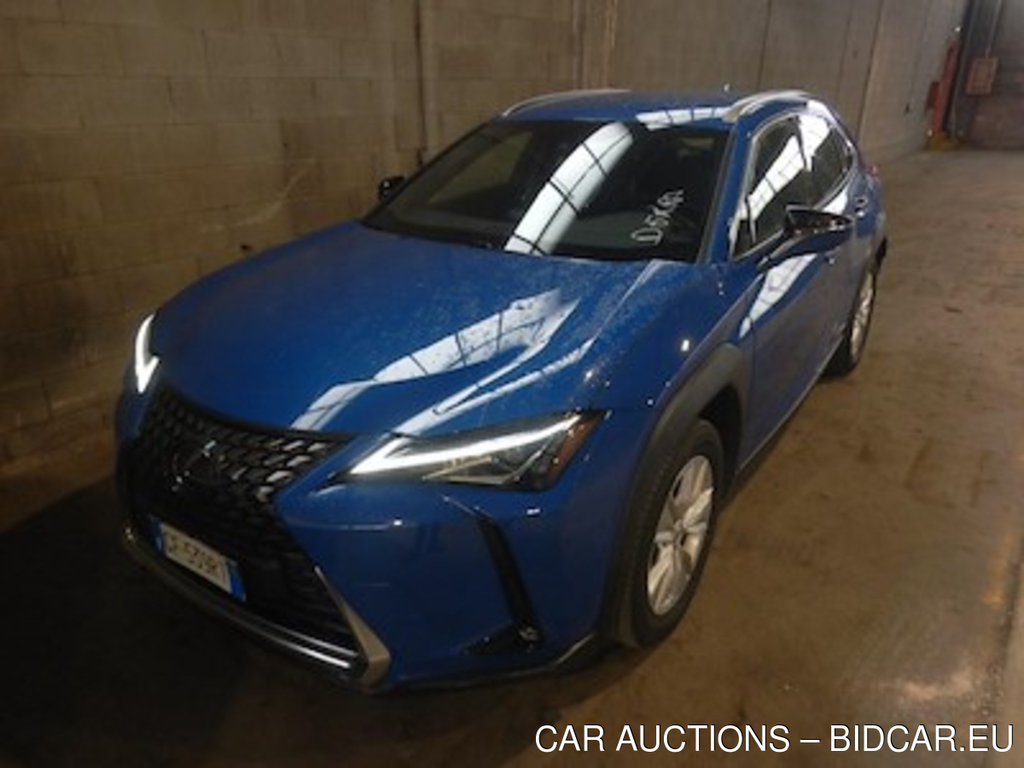 Lexus UX Hybrid Business 2wd