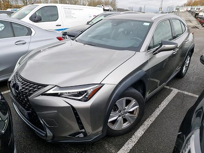 Lexus UX UX 250h 2WD Pack Business MY20