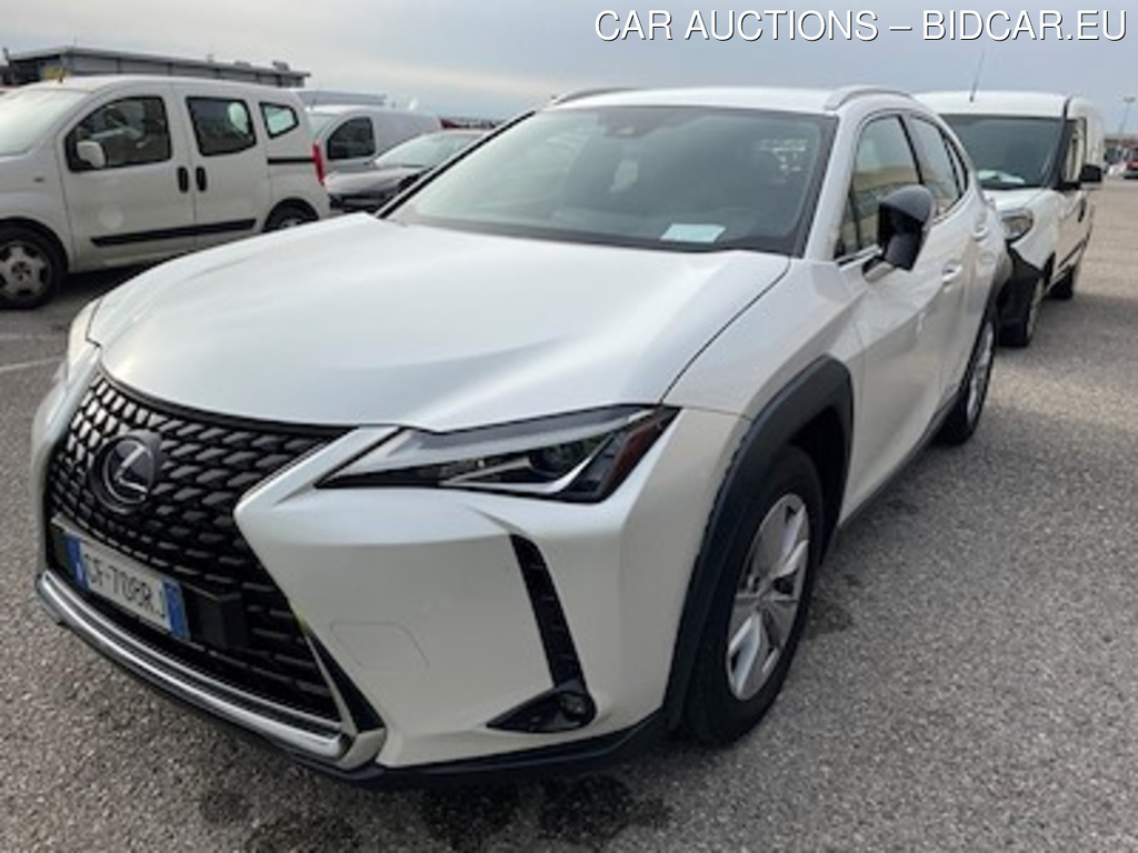 Lexus UX Hybrid Business 2wd