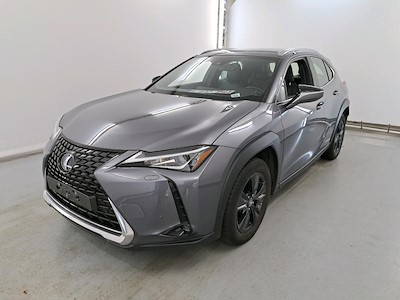 Lexus UX 2.0 250H BUSINESS LINE PLUS