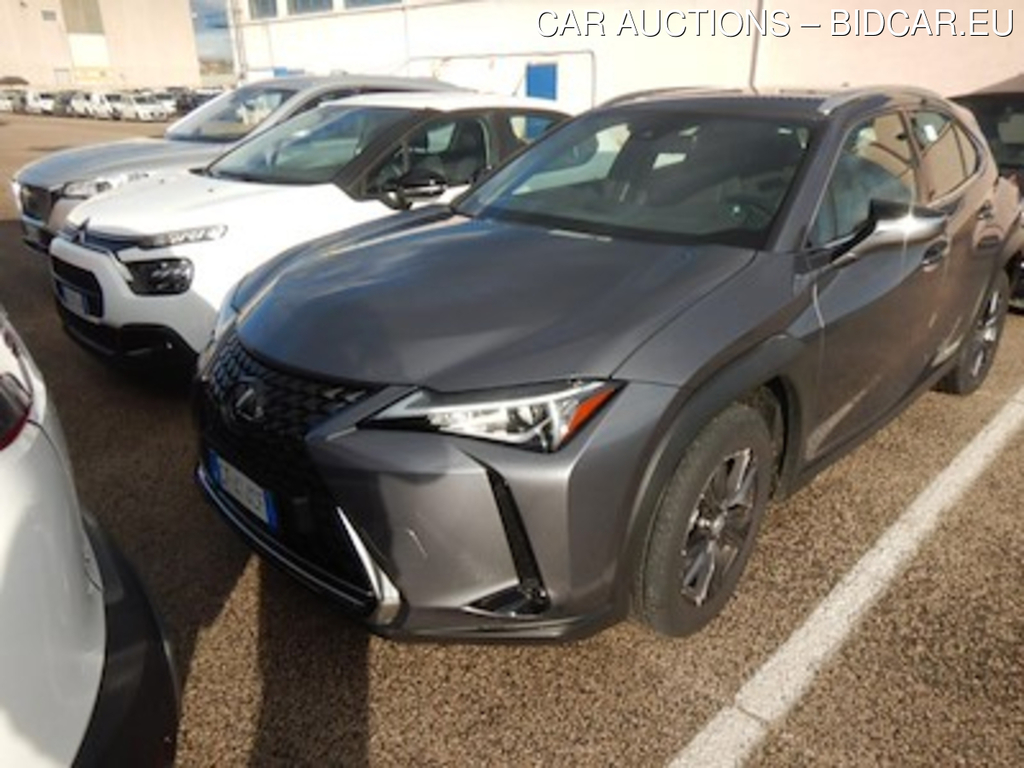 Lexus UX Hybrid Business 2wd