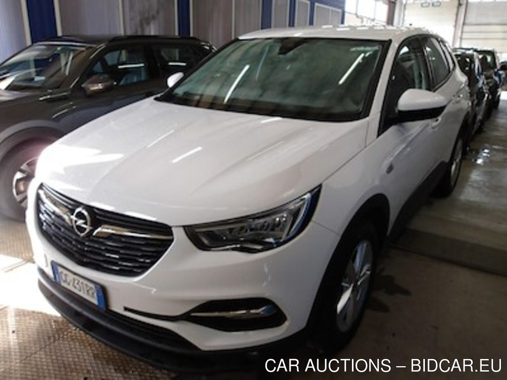 Opel Grandland X 1.5 Diesel Business Edit. 130cv S&amp;s Mt6