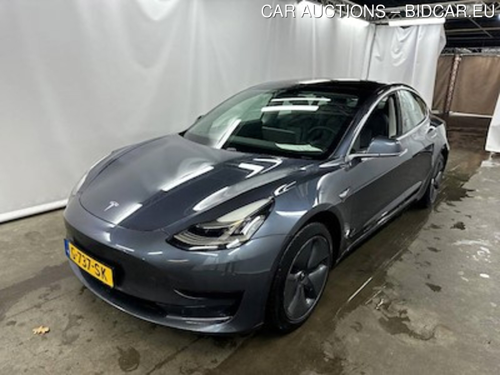 Tesla Model 3 Standard Range Plus RWD