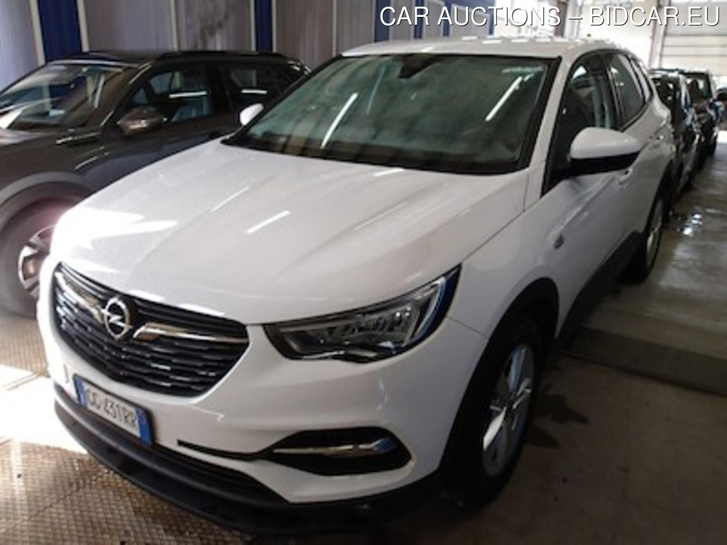 Opel Grandland X 1.5 Diesel Business Edit. 130cv S&amp;s Mt6