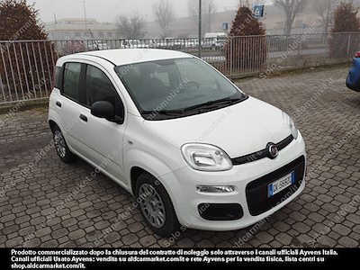 Fiat panda 1.0 firefly 70cv SS -