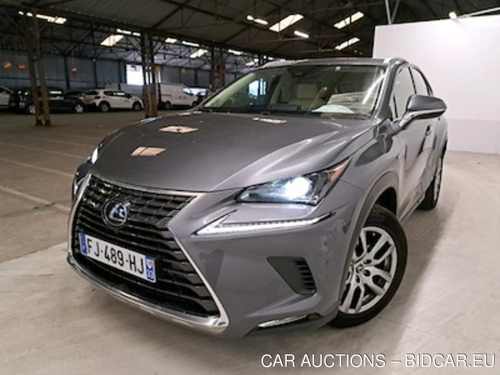 Lexus NX NX 300h 2WD Pack Business MM19