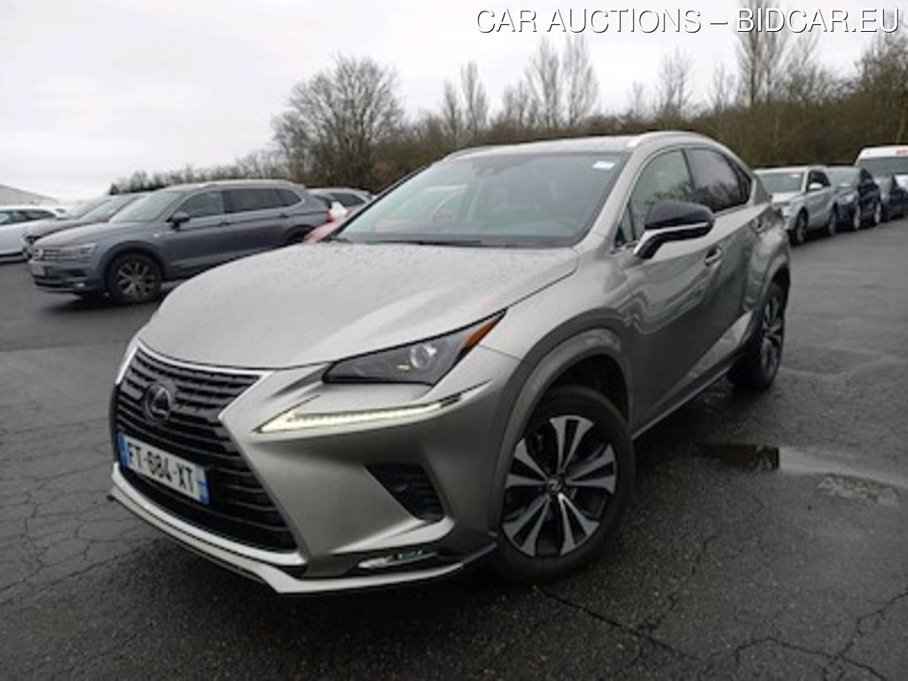 Lexus NX NX 300h 2WD Design MY21