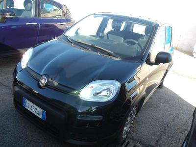 Fiat Panda 1.0 FIREFLY HYBRID S&amp;S 70CV, 2023