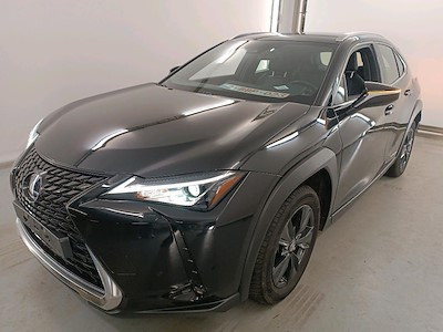 Lexus UX 2.0 250H BUSINESS LINE PLUS