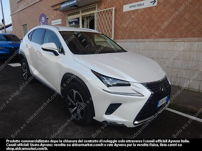 Lexus NX hybrid luxury 4wd sport -