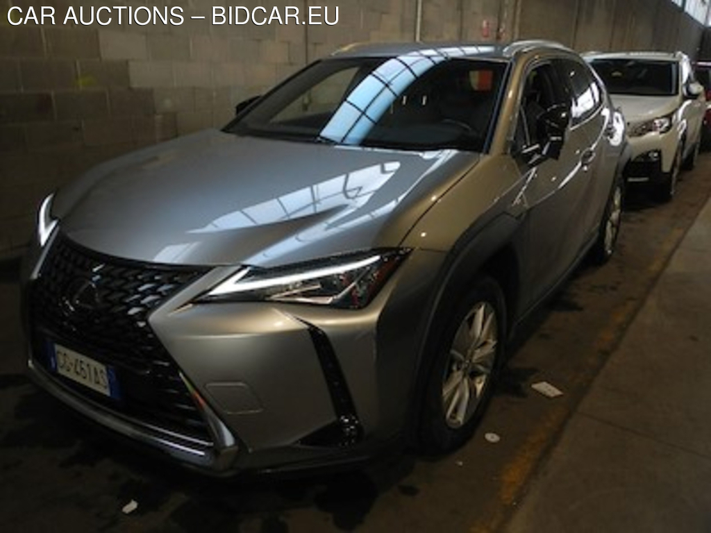 Lexus UX Hybrid Business 2wd