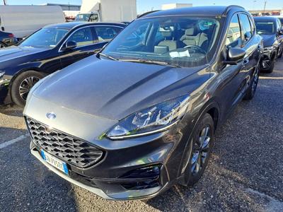 Ford Kuga 2.0 ECOBLUE MHEV ST-LINE 2WD 150CV, 2020