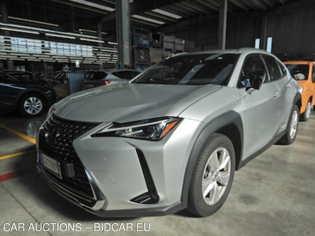 Lexus UX Hybrid Business 2wd