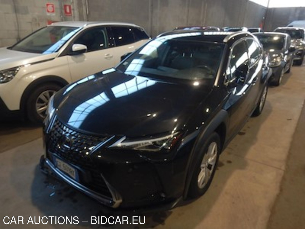 Lexus UX Hybrid Business 2wd