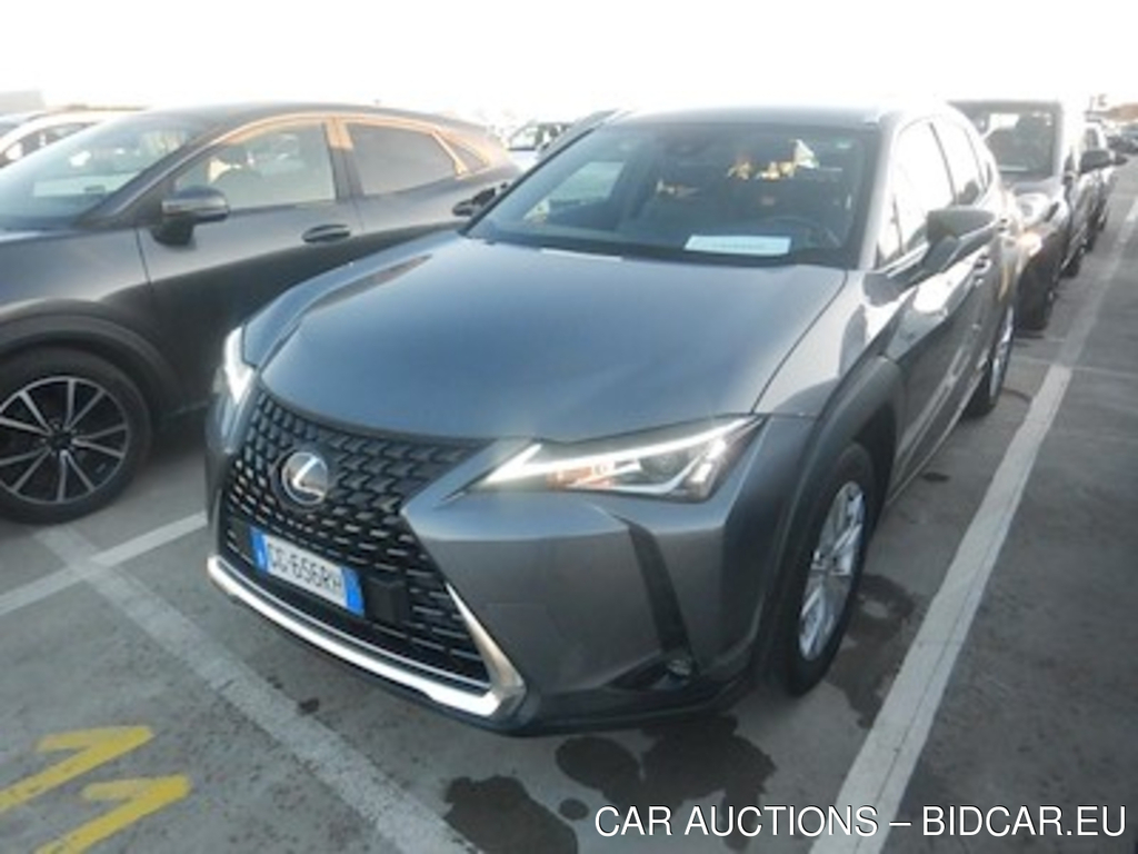 Lexus UX Hybrid Business 2wd