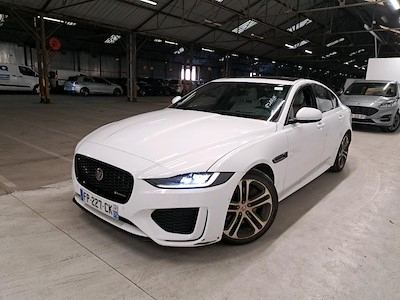 Jaguar XE XE P250 R-Dynamic SE BVA8