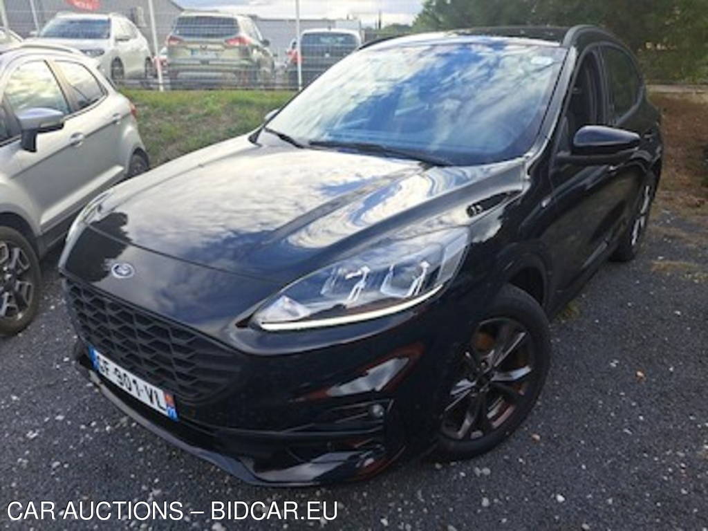 Ford KUGA Kuga 2.0 EcoBlue 150ch mHEV ST-Line