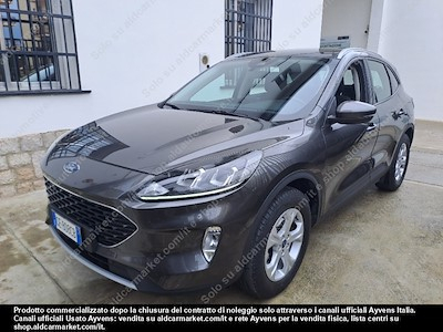 Ford kuga 1.5 ecoblue 120cv 2wd -