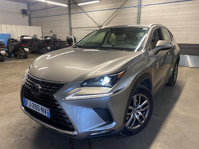 Lexus NX NX 300h 2WD Pack Business MM19