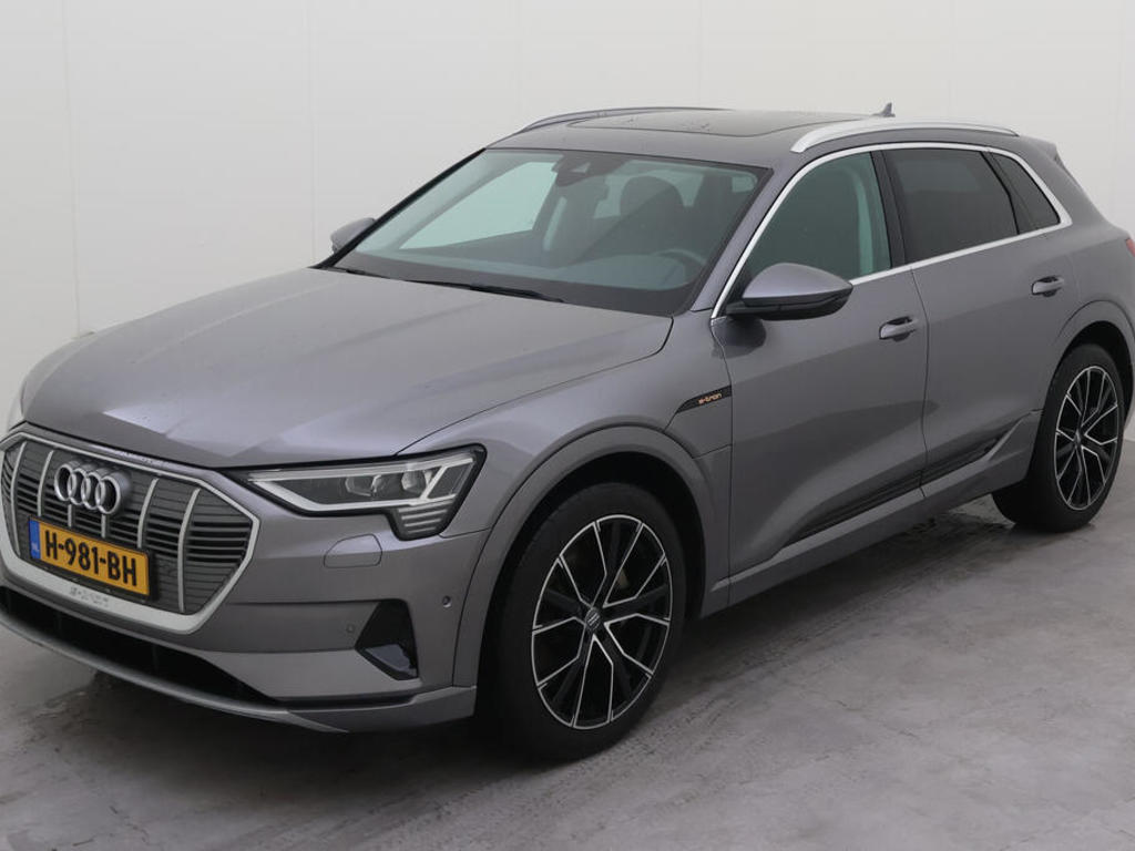 Audi E-tron 50 313PK QUATTRO LAUNCH EDITION PLUS 71 KWH, 2019