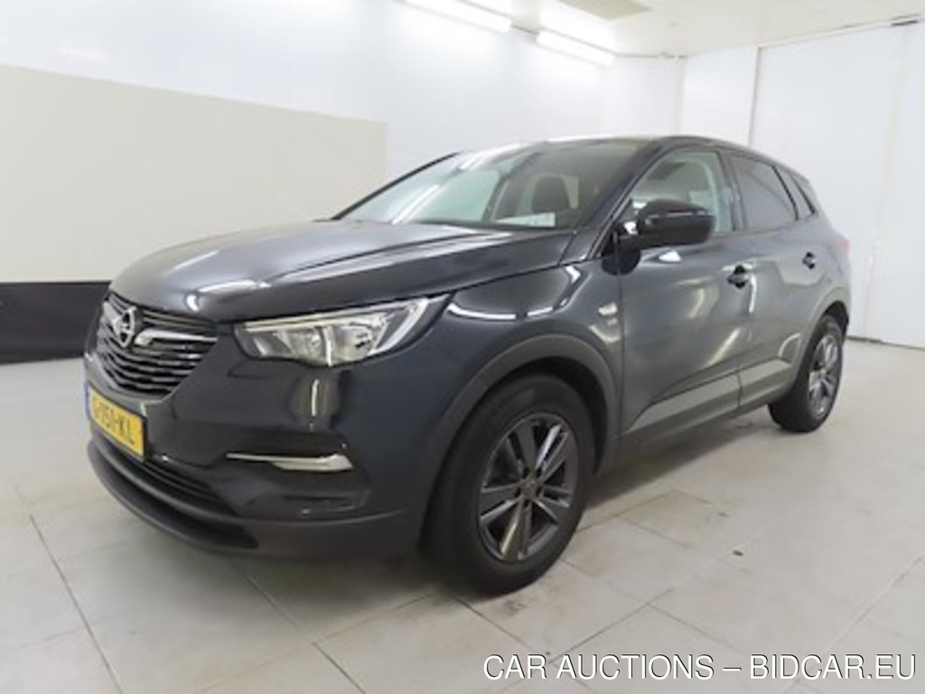 Opel Grandland X 1.2 Turbo S;S 96kW ActieAuto Auto 5d 120 Jaar Edit