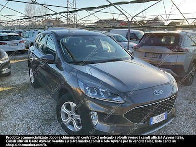 Ford kuga 1.5 ecoblue 120cv 2wd -