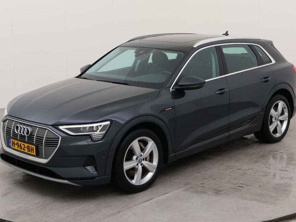 Audi E-tron 50 BEV 313PK QUATTRO LAUNCH EDITION TOUR PRO LINE PANO, 2019