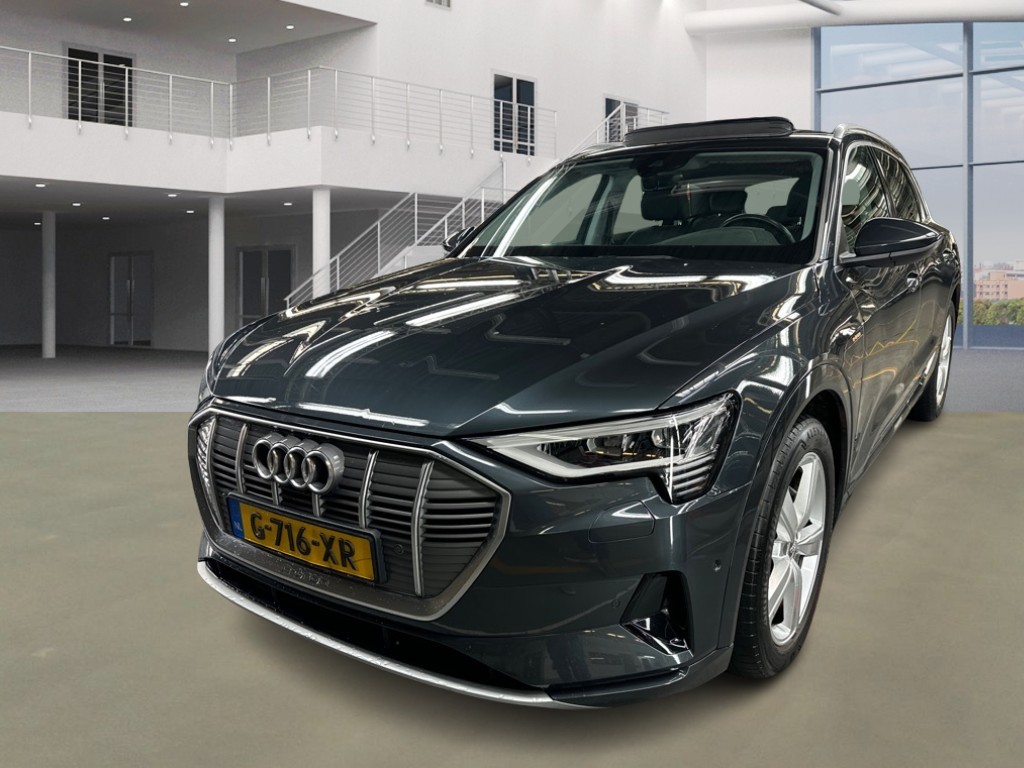 Audi E-tron E-TRON 50 Q L ED +, 2019