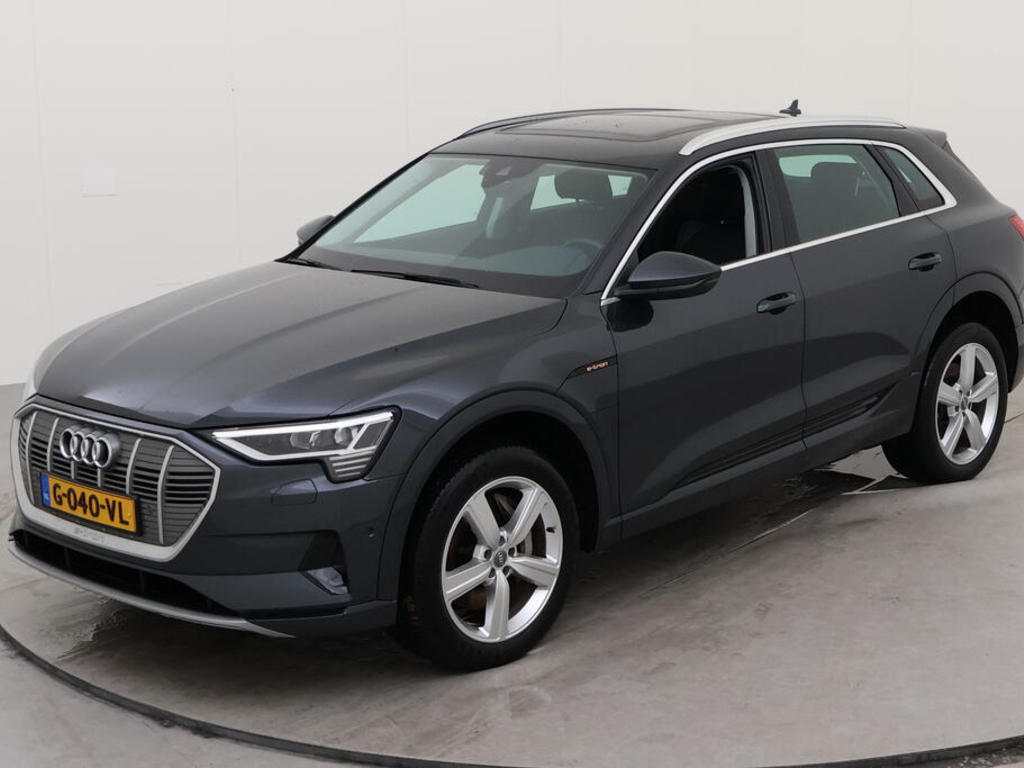 Audi E-tron 50 BEV 313PK QUATTRO LAUNCH EDITION PLUS PRO LINE TOUR TREKHAAK, 2019