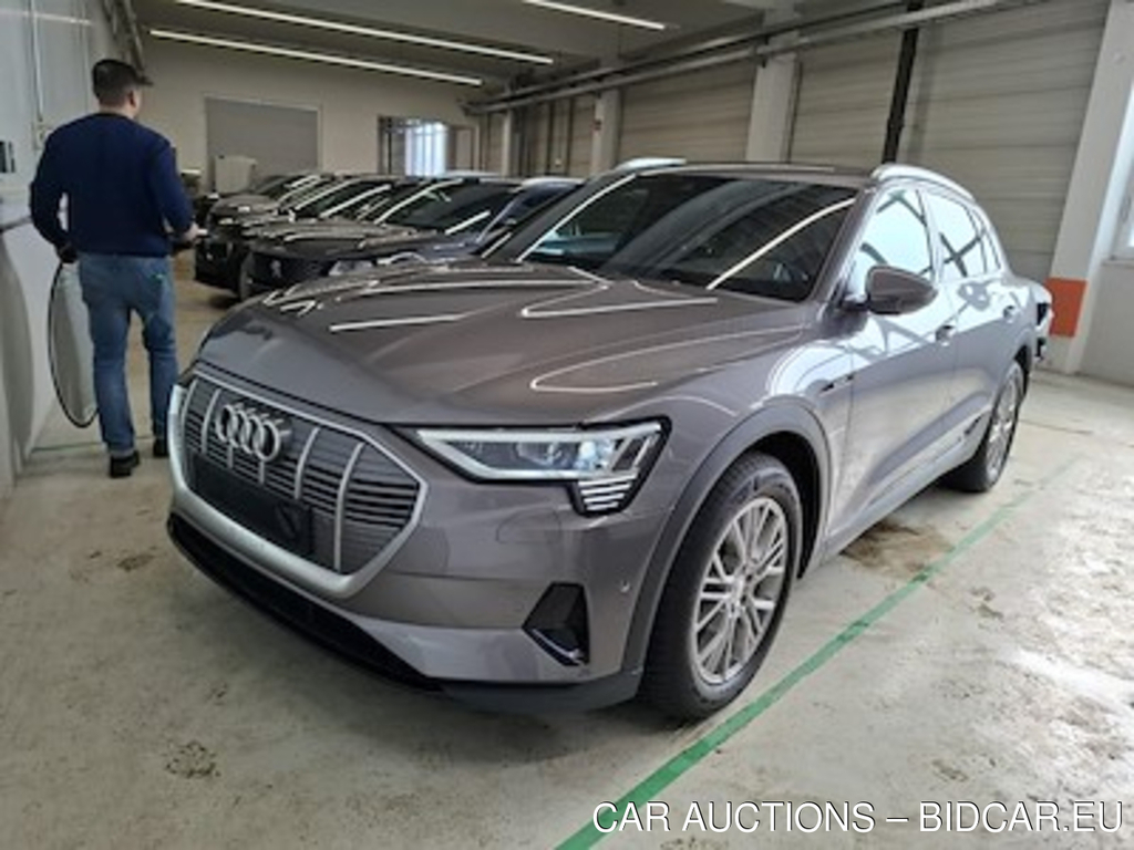 Audi E-tron 50 Quattro Business 230KW