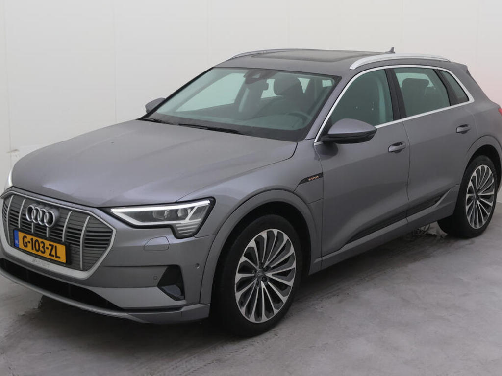 Audi E-tron 50 BEV 313PK QUATTRO LAUNCH EDITION PLUS PRO LINE TOUR, 2019