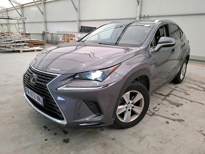 Lexus NX NX 300h 4WD Luxe MY20