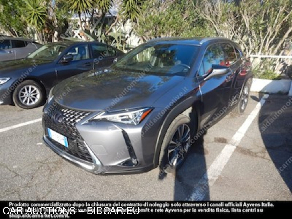 Lexus UX UX 300e premium sport -