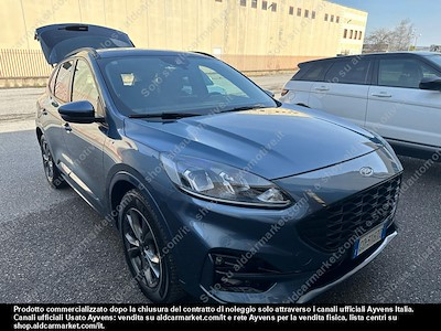 Ford kuga 1.5 ecoblue 120cv 2wd -