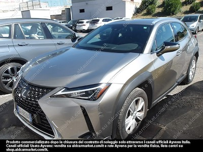 Lexus UX LP hybrid business 2wd -