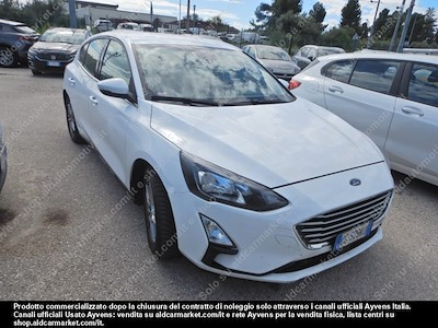 Ford focus 1.5 ecoblue 95cv business -