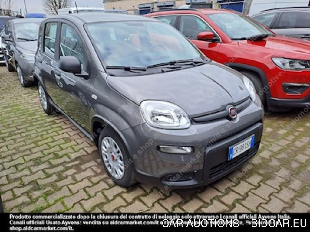 Fiat panda 1.0 firefly 70cv SS -