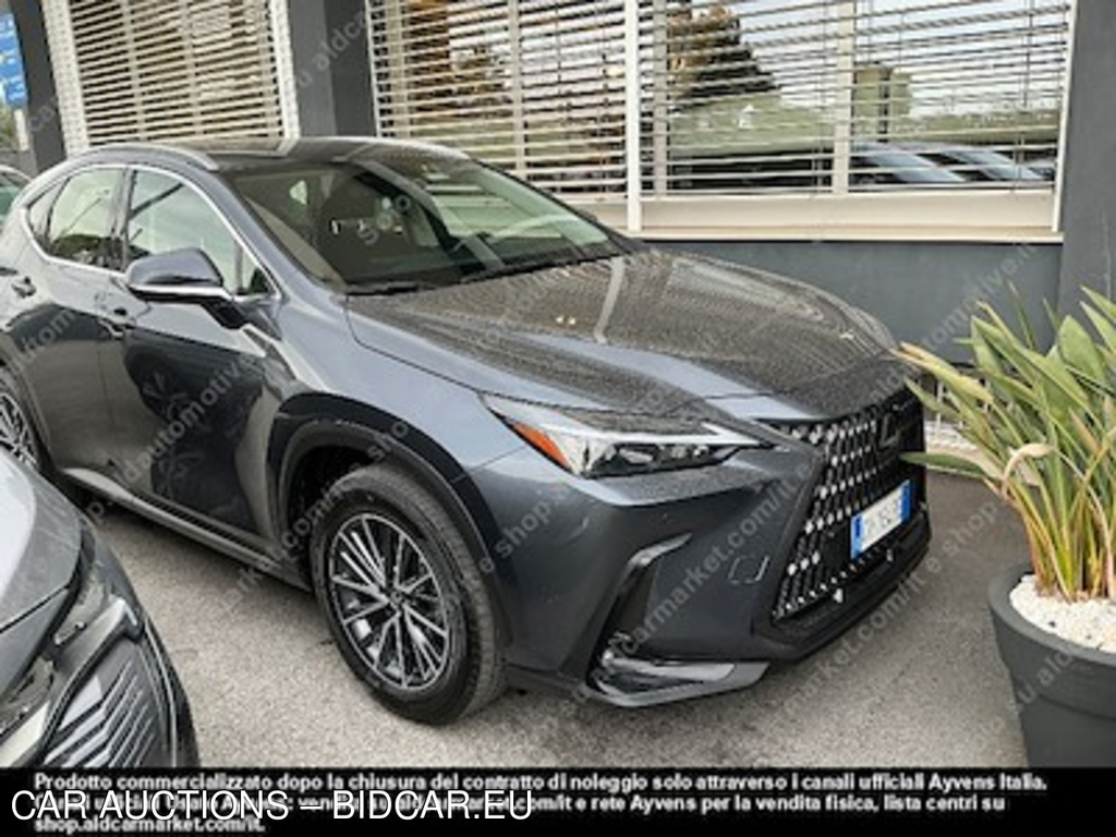 Lexus NX hybrid business 4wd sport -