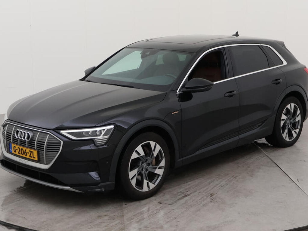 Audi E-tron 55 BEV QUATTRO ADVANCED PRO LINE S CONNECT PANO LEDER CAMERA, 2019