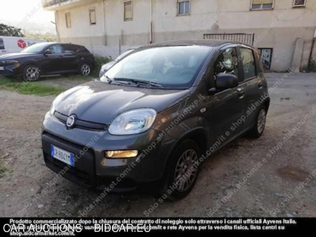 Fiat panda 1.0 firefly 70cv SS -
