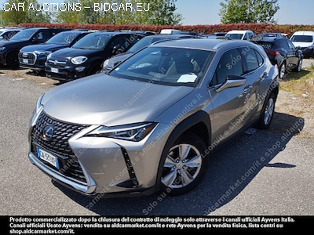 Lexus UX LP hybrid business FP -