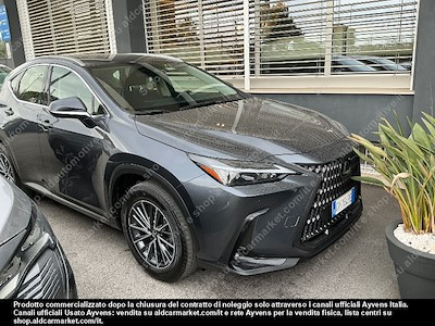 Lexus NX hybrid business 4wd sport -