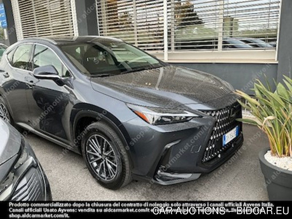 Lexus NX hybrid business 4wd sport -