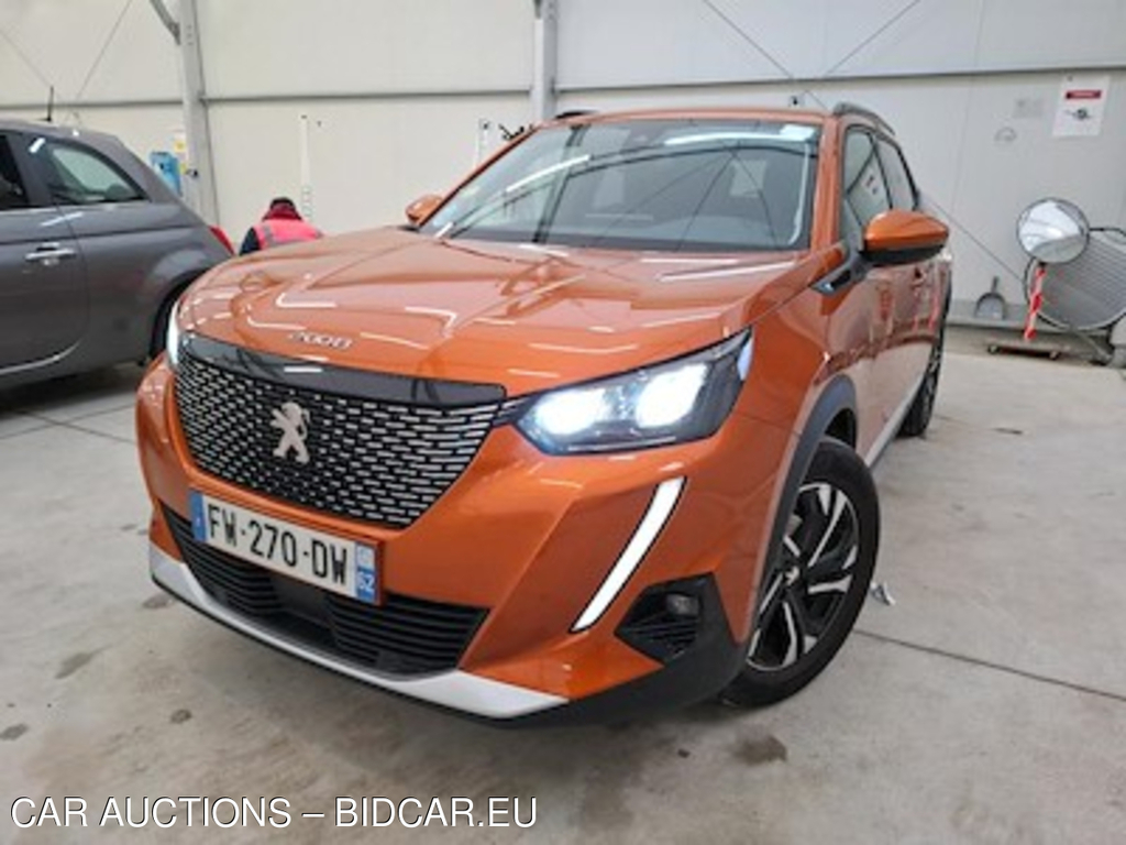 Peugeot 2008 2008 1.5 BlueHDi 100ch S&S Allure Business