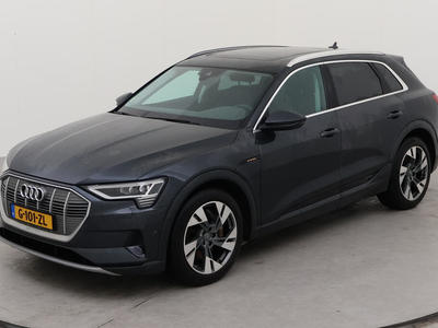 Audi E-tron 50 BEV 313PK QUATTRO LAUNCH EDITION PLUS PRO LINE TOUR TREKHAAK, 2019