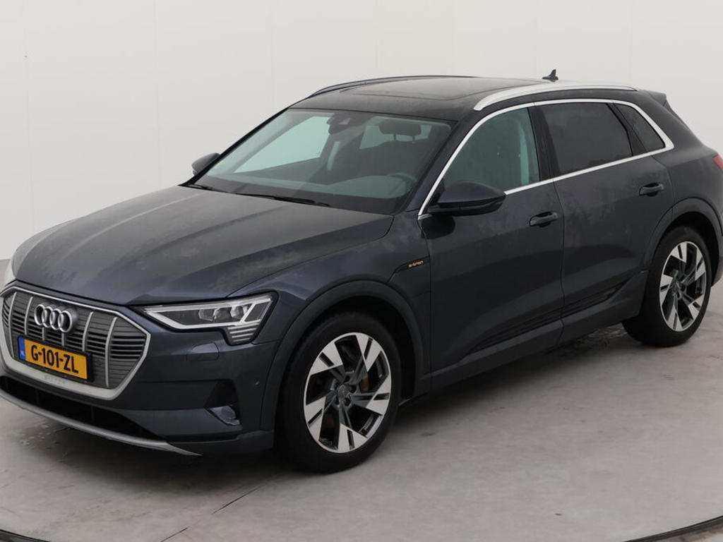 Audi E-tron 50 BEV 313PK QUATTRO LAUNCH EDITION PLUS PRO LINE TOUR TREKHAAK, 2019