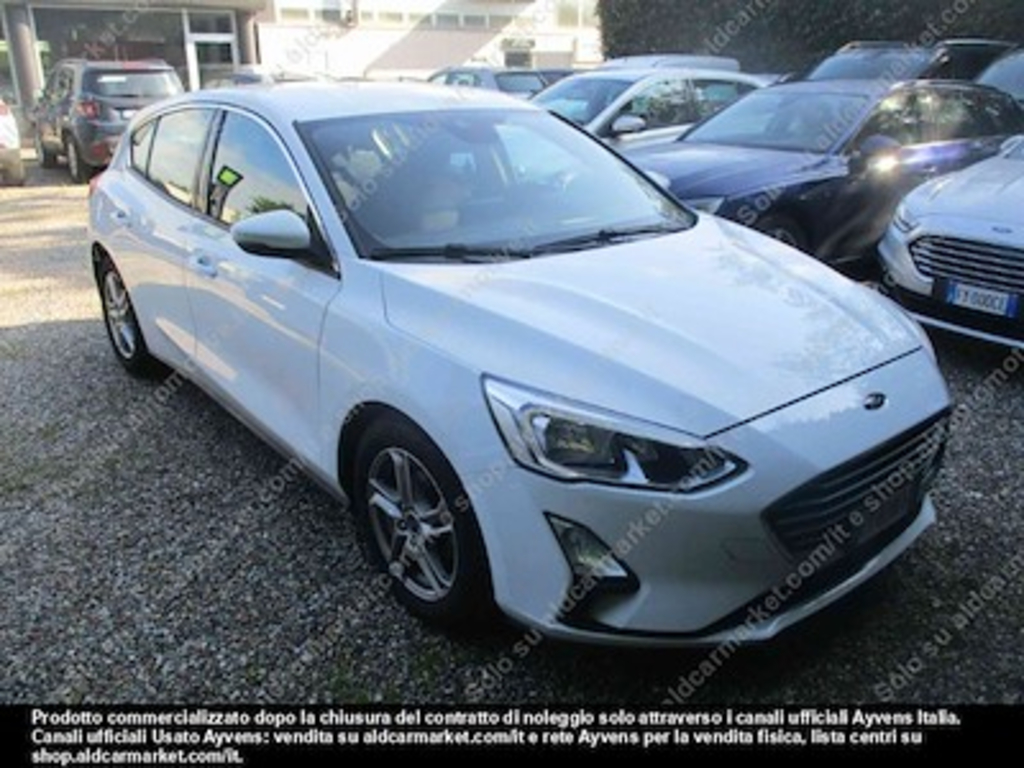 Ford focus 1.5 ecoblue 95cv business -