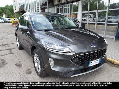 Ford kuga 1.5 ecoblue 120cv 2wd -