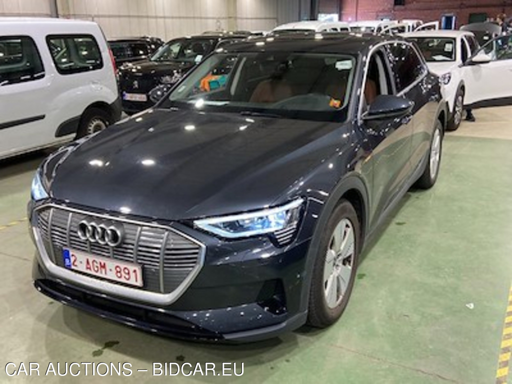 Audi E-TRON 95 kWh 55 Quattro